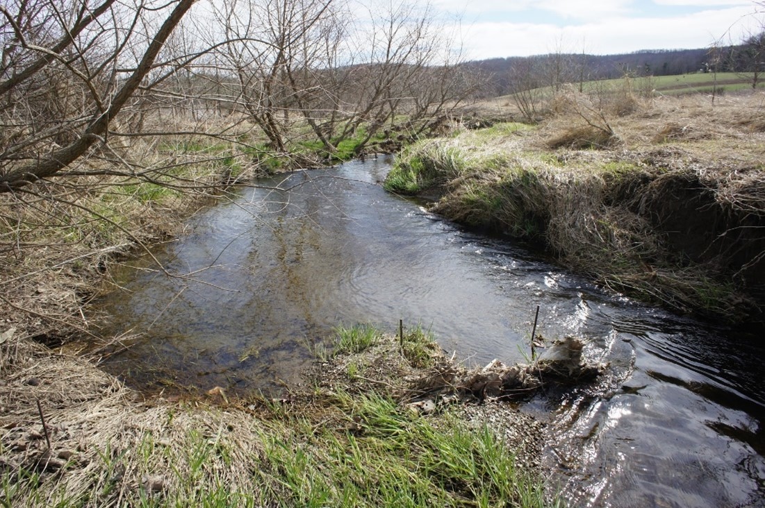 A color photograph of a stream with bare trees and brown grass on its banks, designated as Treatment 3.